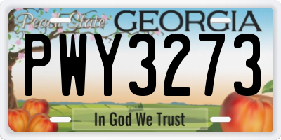 GA license plate PWY3273