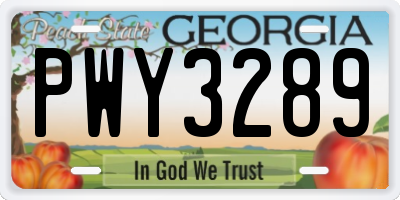 GA license plate PWY3289