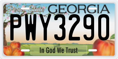 GA license plate PWY3290