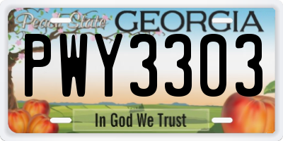 GA license plate PWY3303