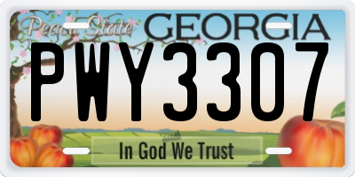 GA license plate PWY3307