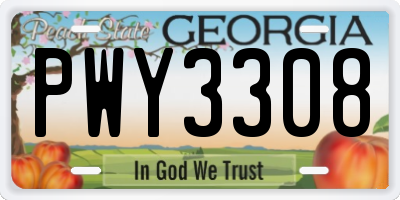 GA license plate PWY3308