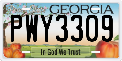 GA license plate PWY3309