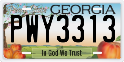 GA license plate PWY3313