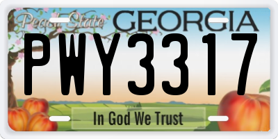 GA license plate PWY3317