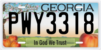 GA license plate PWY3318