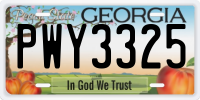 GA license plate PWY3325