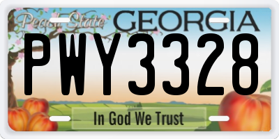 GA license plate PWY3328