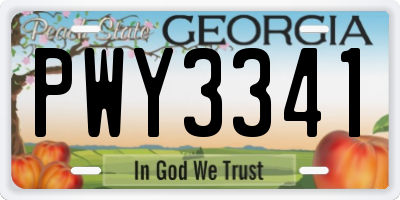 GA license plate PWY3341