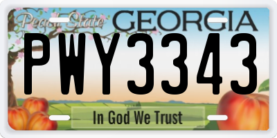 GA license plate PWY3343
