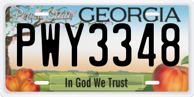 GA license plate PWY3348