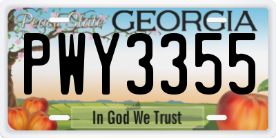 GA license plate PWY3355