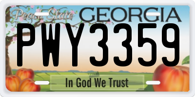 GA license plate PWY3359