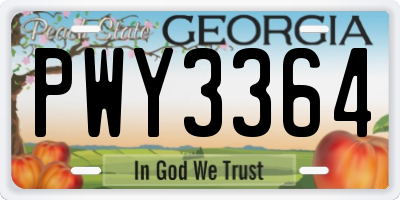 GA license plate PWY3364