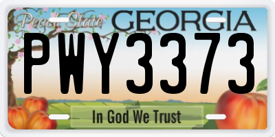 GA license plate PWY3373
