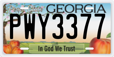 GA license plate PWY3377