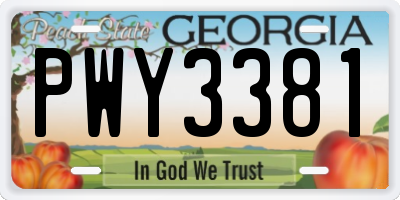 GA license plate PWY3381