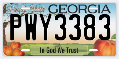 GA license plate PWY3383