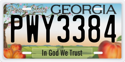 GA license plate PWY3384