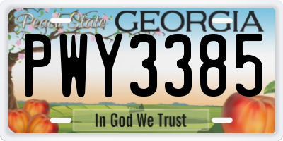 GA license plate PWY3385