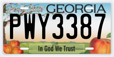 GA license plate PWY3387
