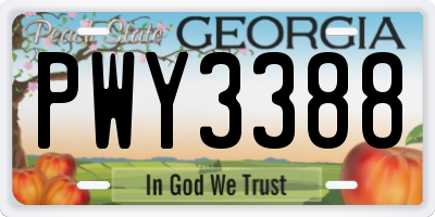 GA license plate PWY3388