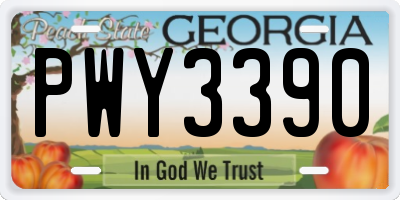 GA license plate PWY3390