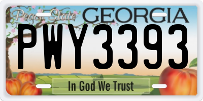 GA license plate PWY3393