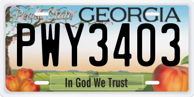 GA license plate PWY3403