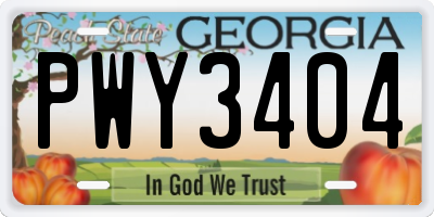 GA license plate PWY3404