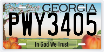 GA license plate PWY3405