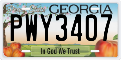 GA license plate PWY3407