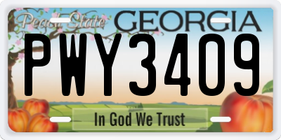 GA license plate PWY3409