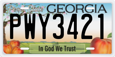 GA license plate PWY3421