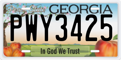 GA license plate PWY3425