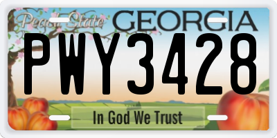 GA license plate PWY3428