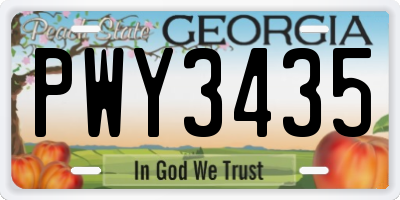 GA license plate PWY3435