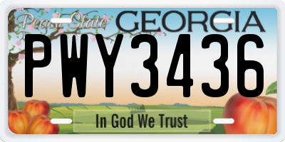 GA license plate PWY3436