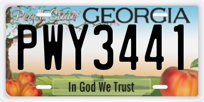 GA license plate PWY3441