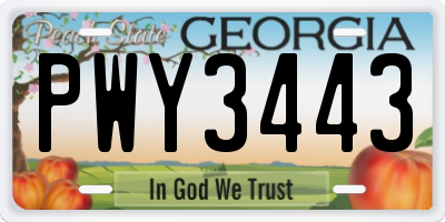 GA license plate PWY3443