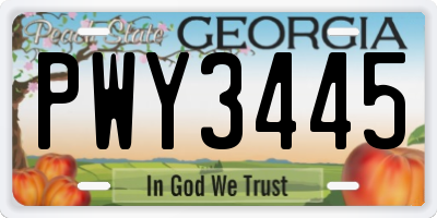 GA license plate PWY3445