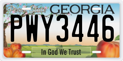 GA license plate PWY3446