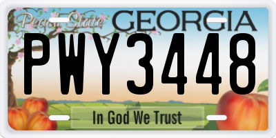 GA license plate PWY3448
