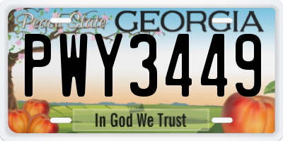 GA license plate PWY3449