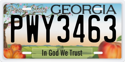 GA license plate PWY3463