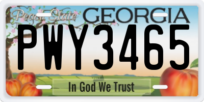 GA license plate PWY3465