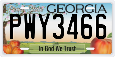 GA license plate PWY3466