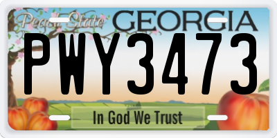 GA license plate PWY3473