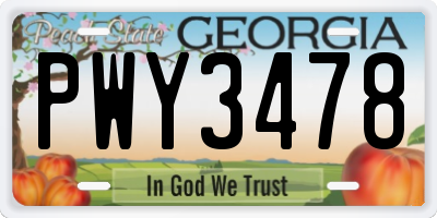 GA license plate PWY3478