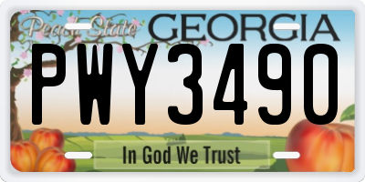 GA license plate PWY3490